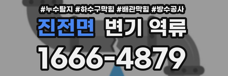 진전면 변기 역류