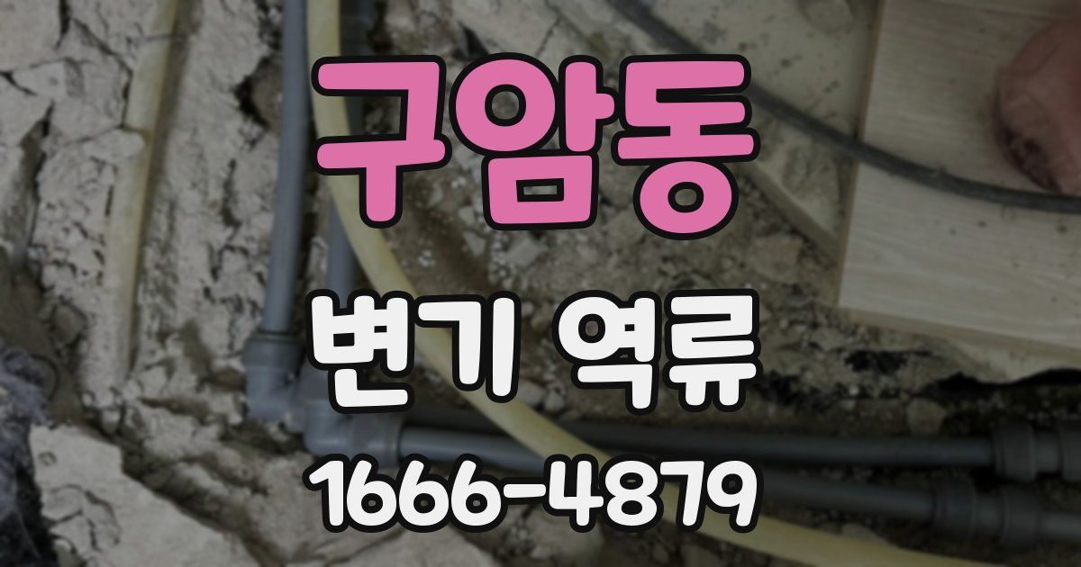 구암동 변기 역류