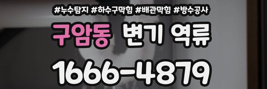구암동 변기 역류