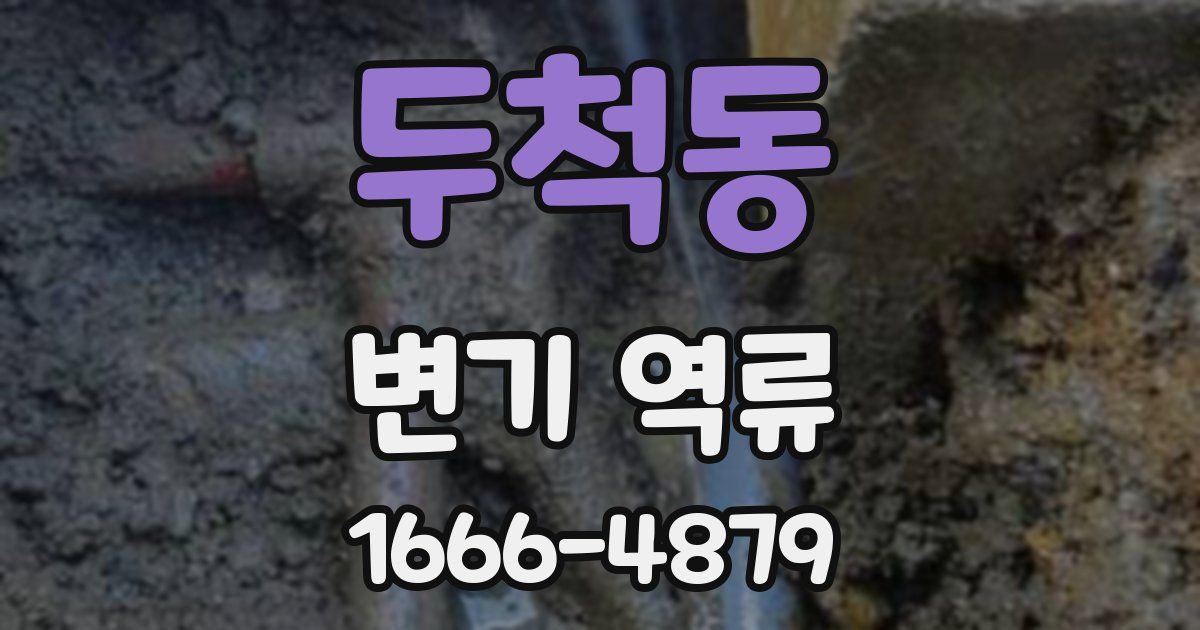두척동 변기 역류