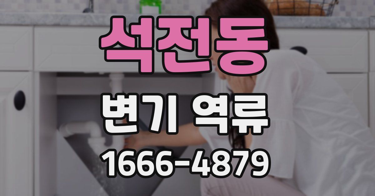 석전동 변기 역류
