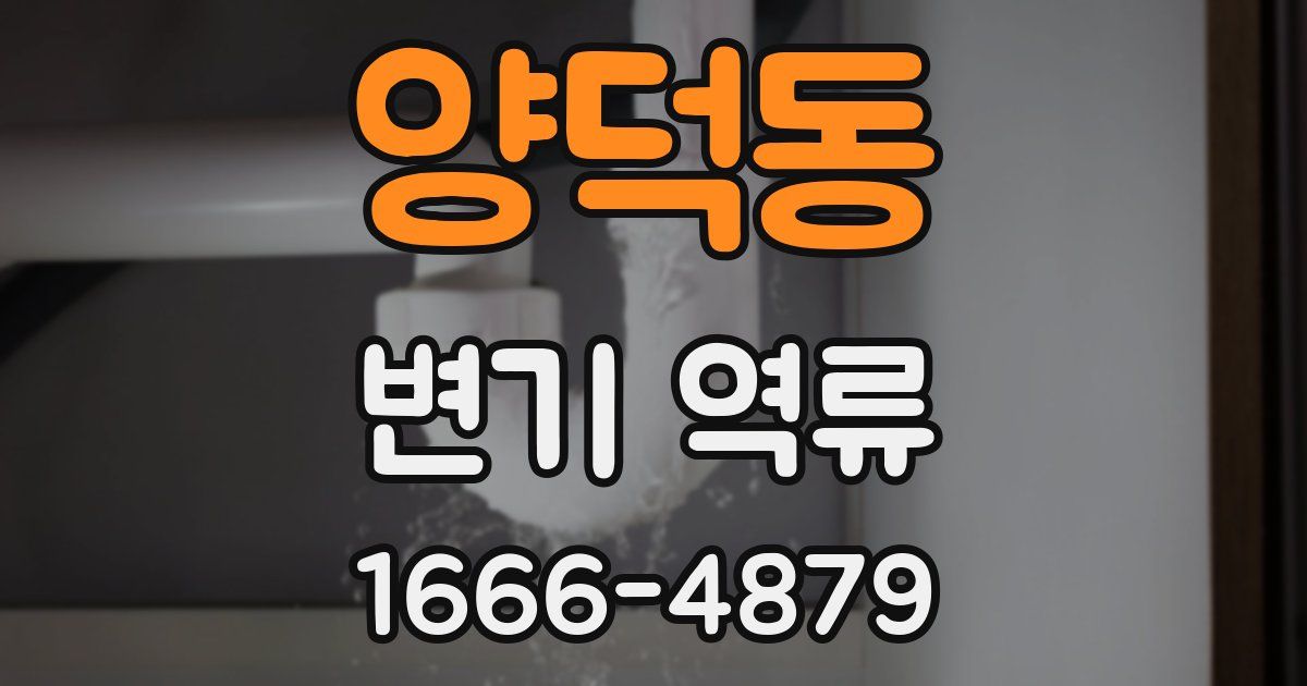 양덕동 변기 역류