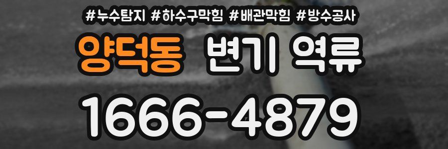 양덕동 변기 역류