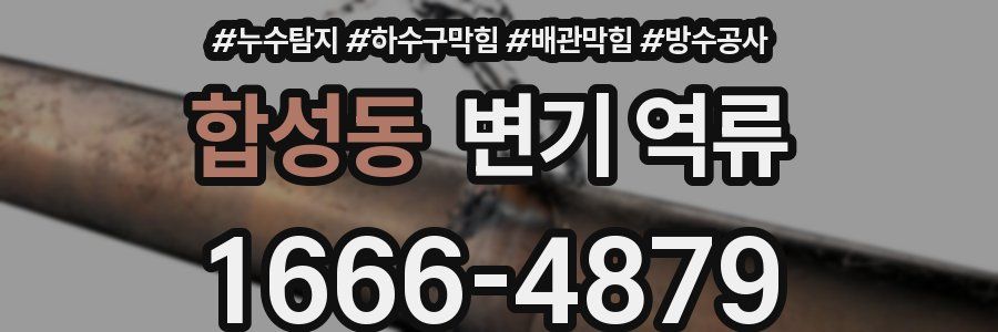합성동 변기 역류