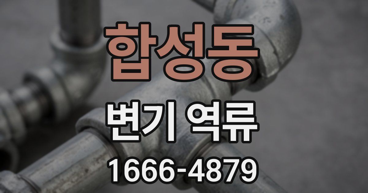 합성동 변기 역류