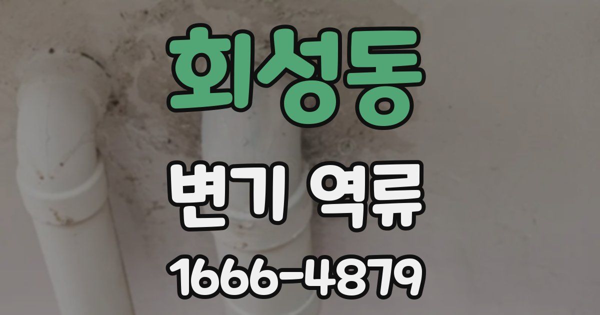 회성동 변기 역류