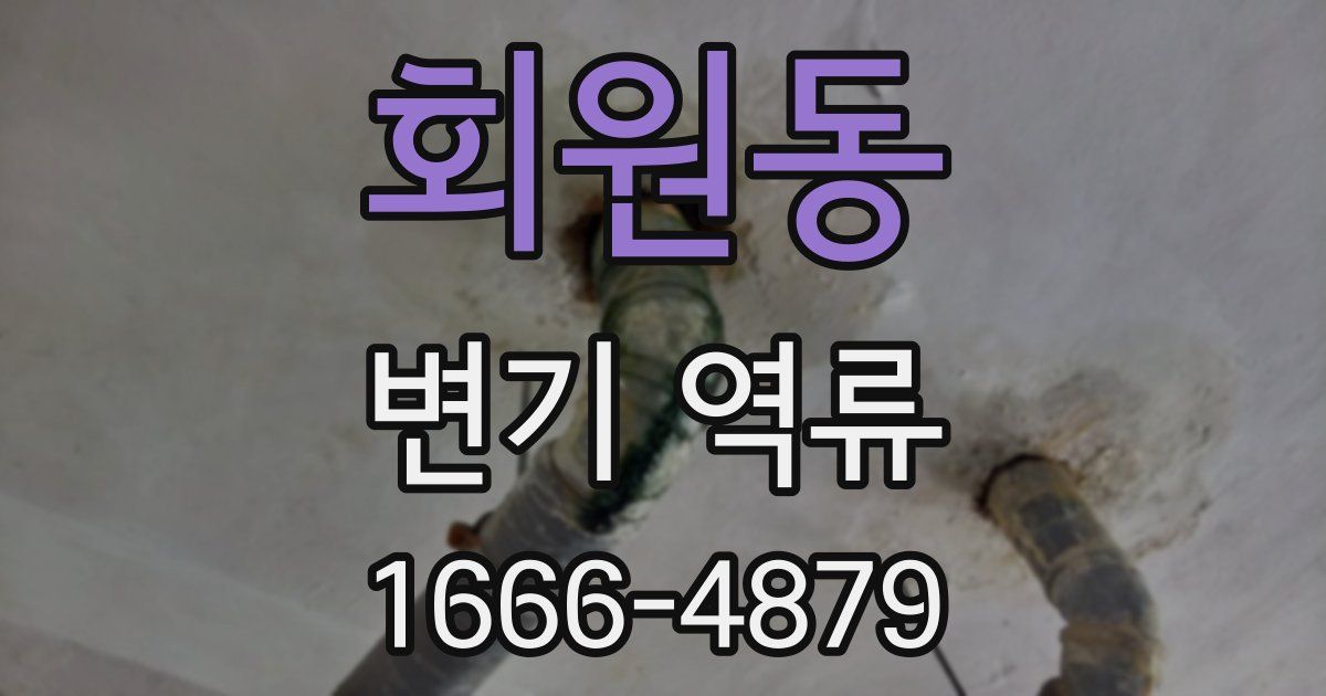 회원동 변기 역류