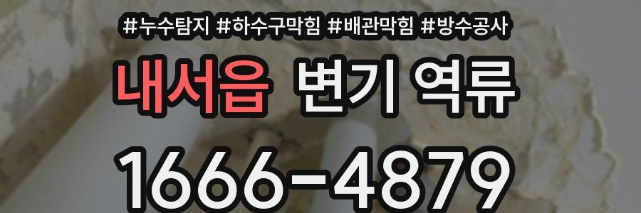 내서읍 변기 역류