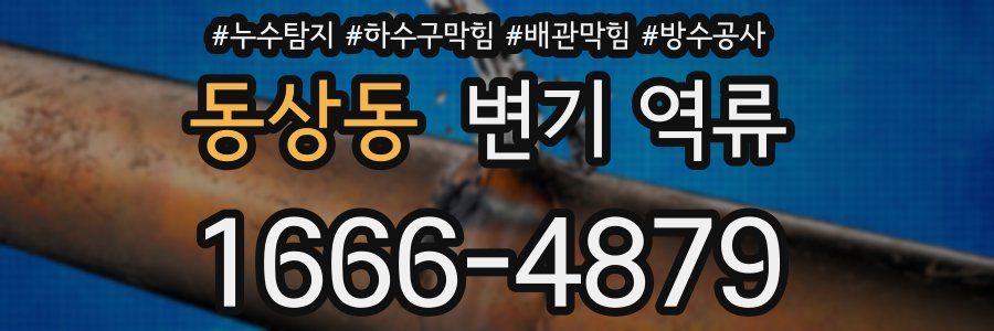 동상동 변기 역류