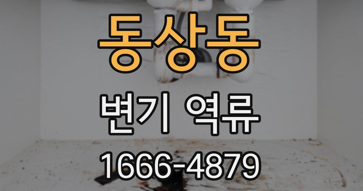동상동 변기 역류
