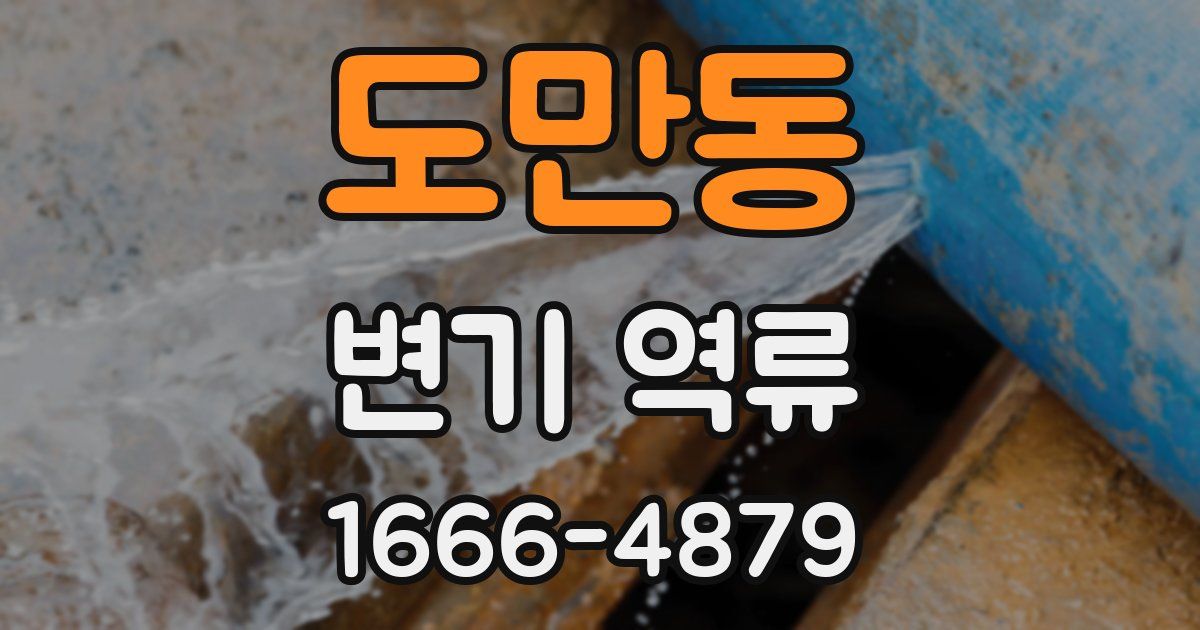 도만동 변기 역류