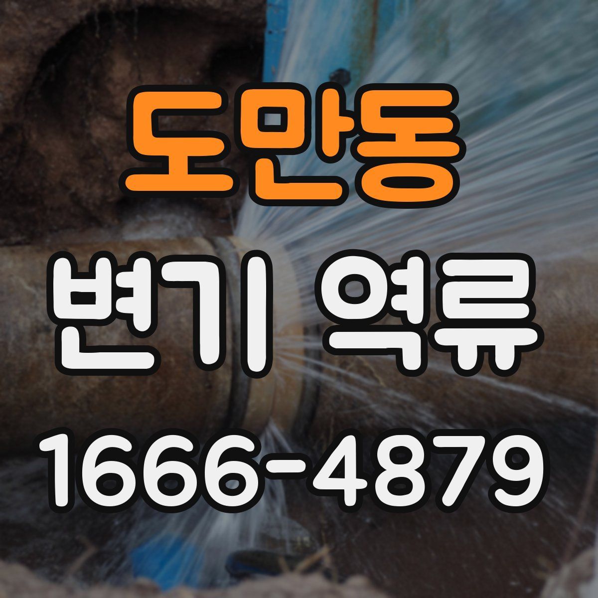 도만동 변기 역류
