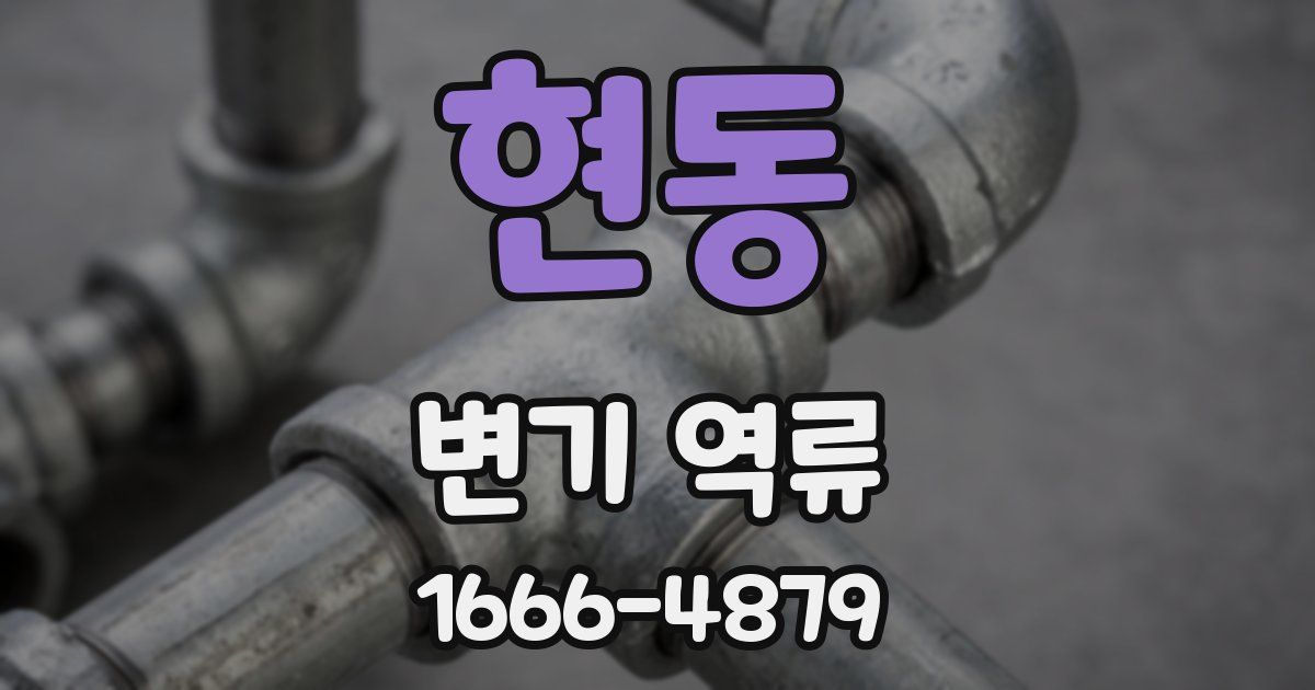 현동 변기 역류