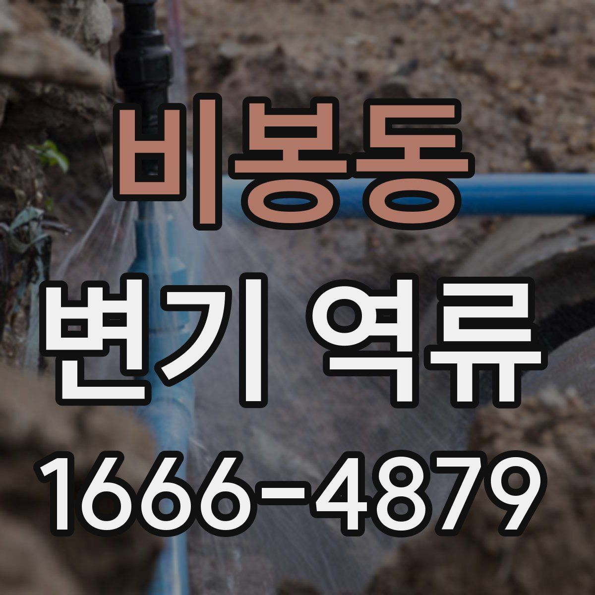 비봉동 변기 역류