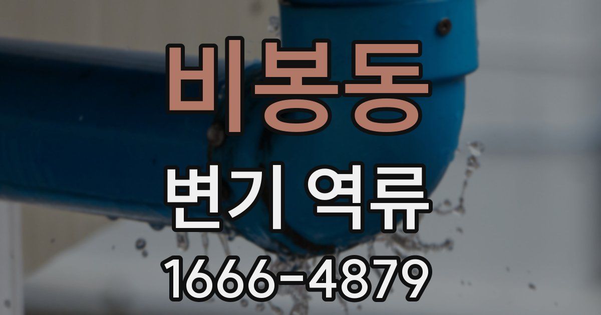 비봉동 변기 역류
