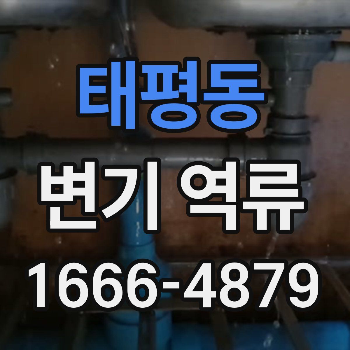 태평동 변기 역류