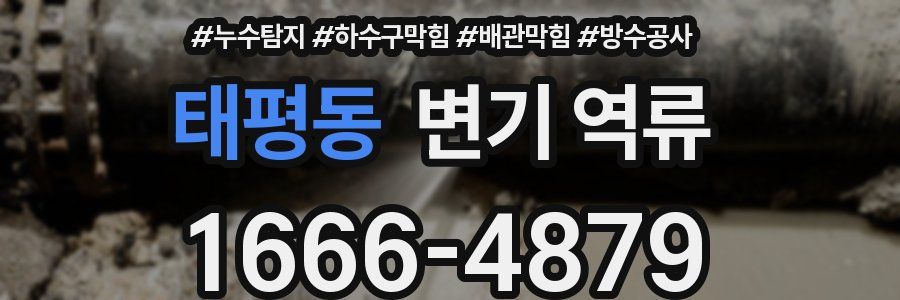 태평동 변기 역류