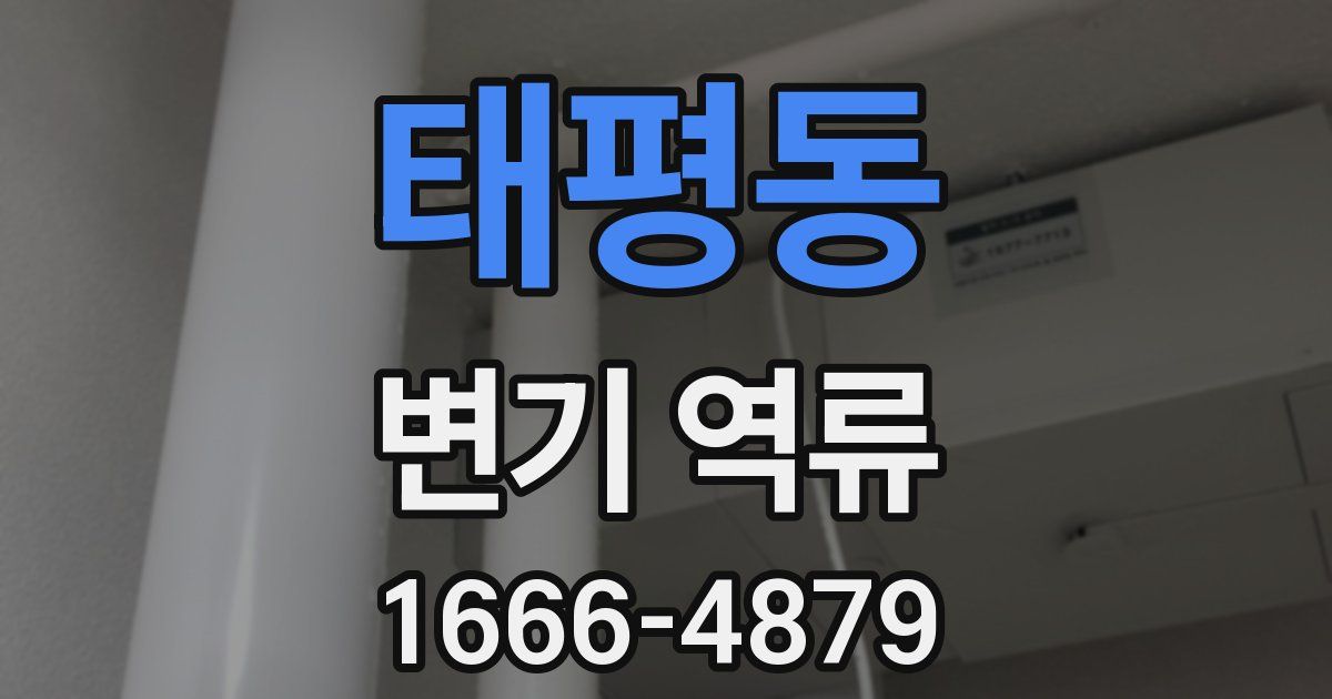 태평동 변기 역류