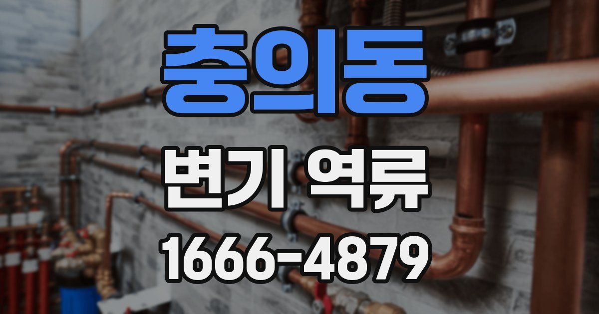 충의동 변기 역류