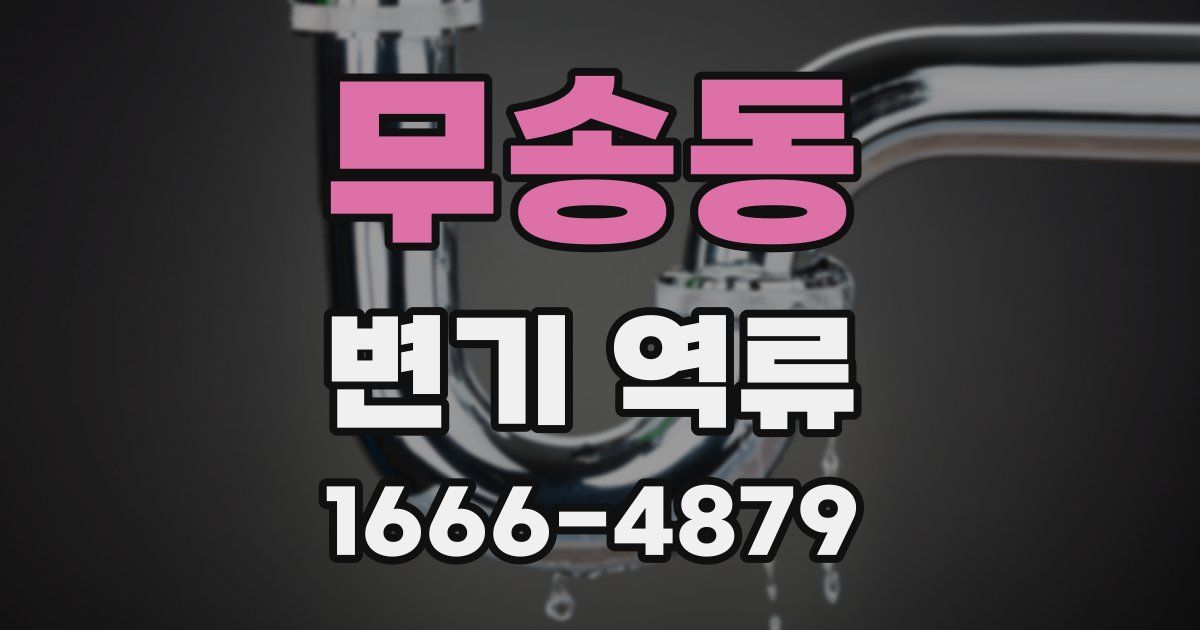 무송동 변기 역류