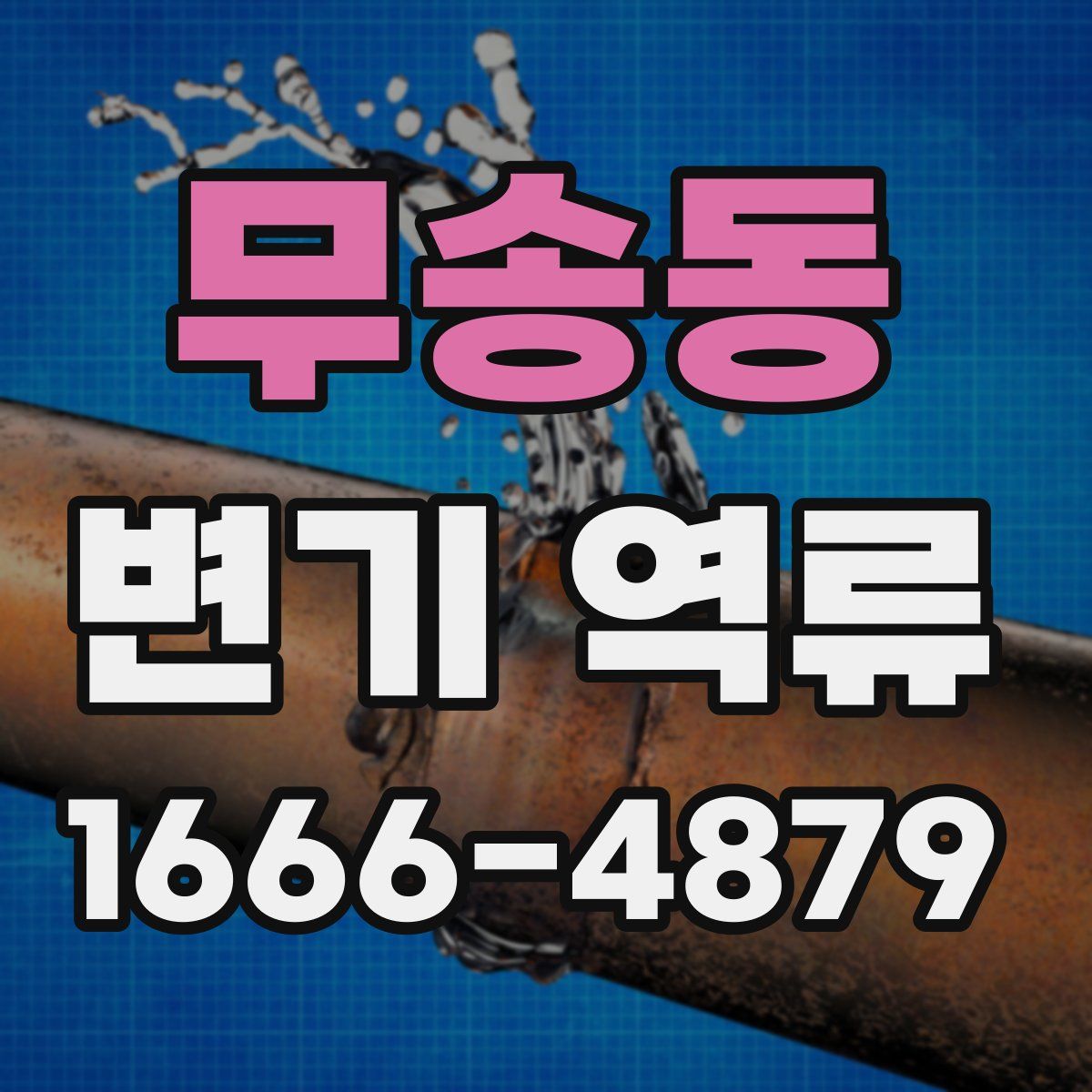 무송동 변기 역류