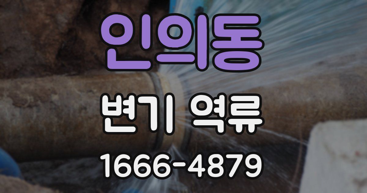 인의동 변기 역류