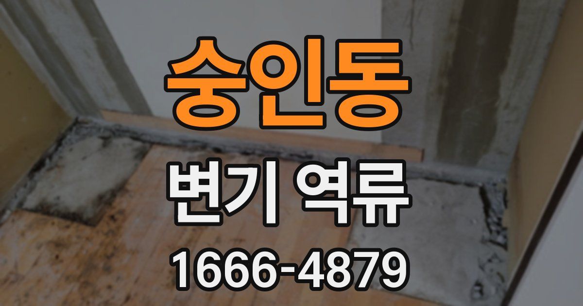 숭인동 변기 역류