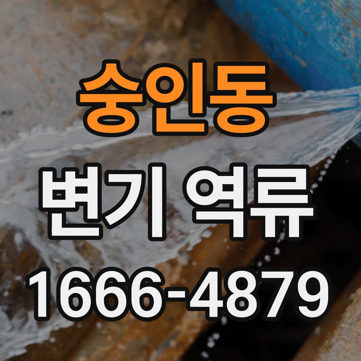 숭인동 변기 역류