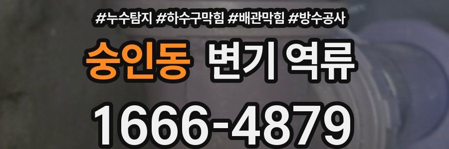 숭인동 변기 역류