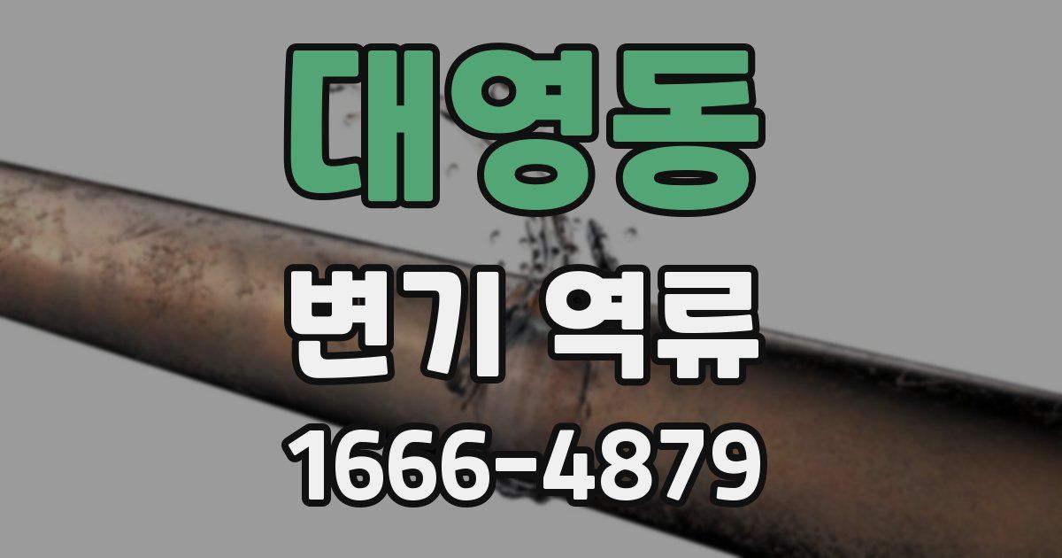 대영동 변기 역류