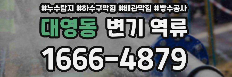 대영동 변기 역류