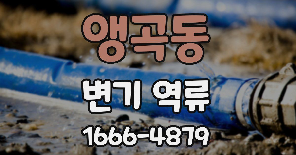 앵곡동 변기 역류