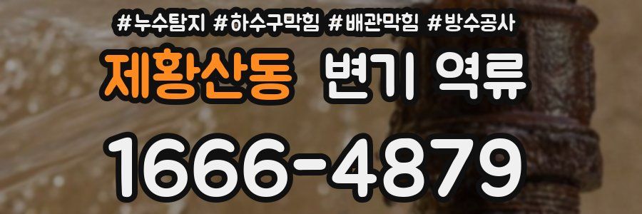 제황산동 변기 역류