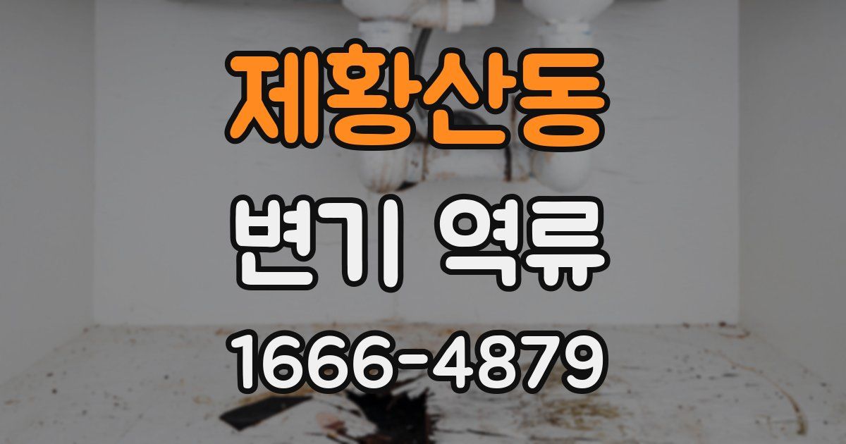 제황산동 변기 역류