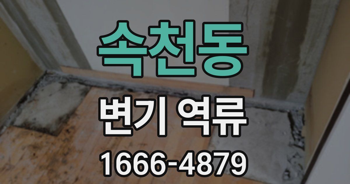 속천동 변기 역류