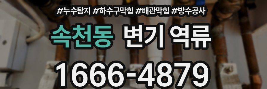 속천동 변기 역류