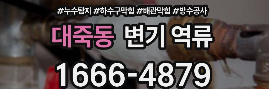 대죽동 변기 역류