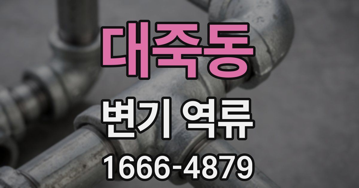 대죽동 변기 역류