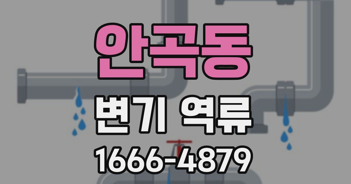 안곡동 변기 역류