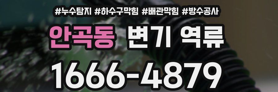 안곡동 변기 역류