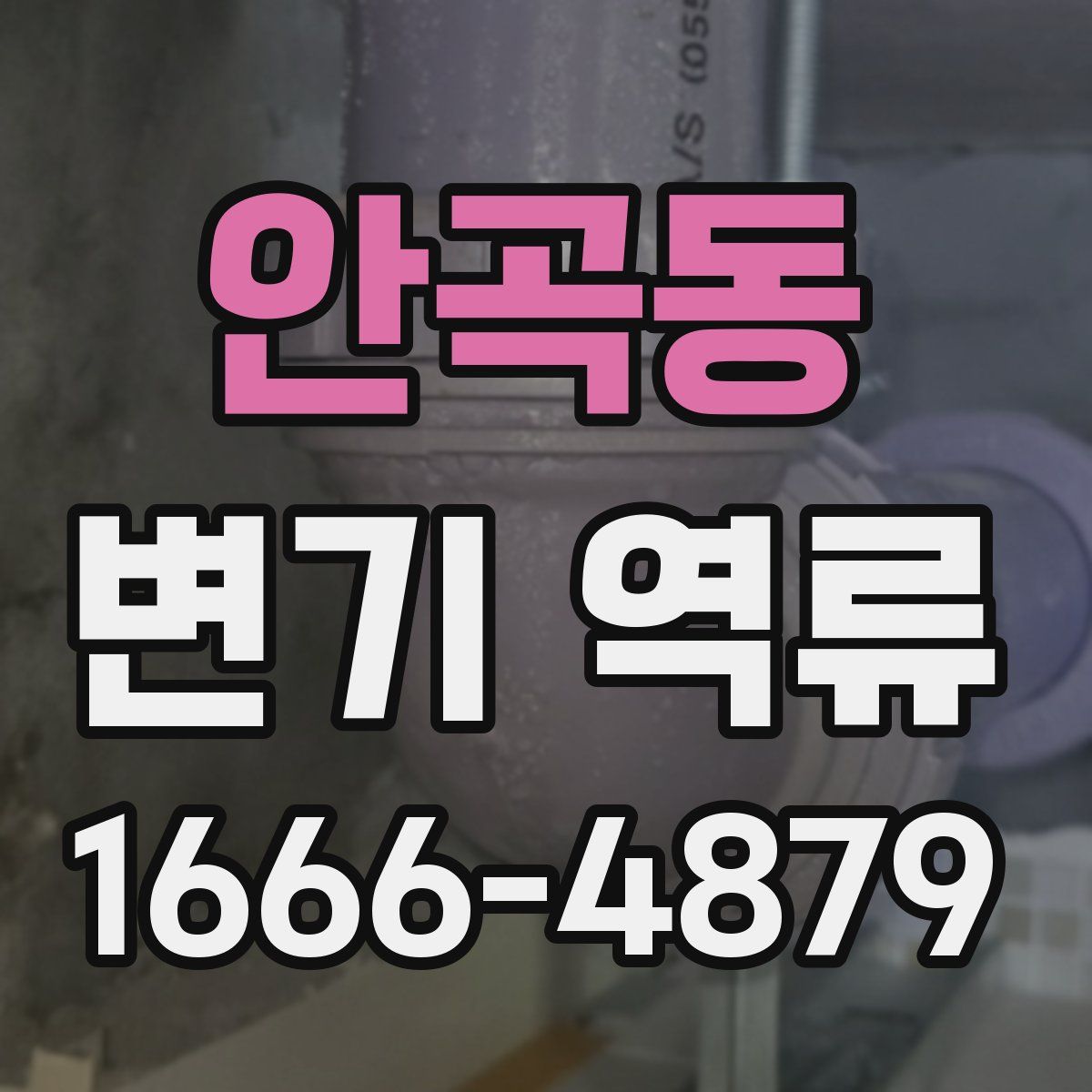 안곡동 변기 역류
