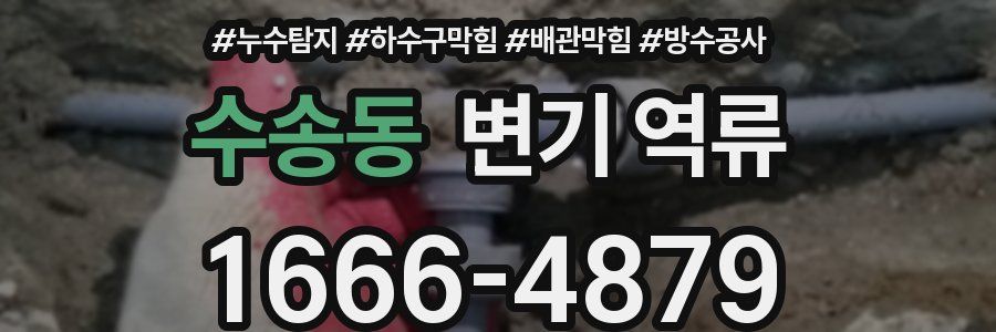 수송동 변기 역류