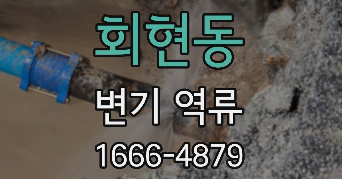 회현동 변기 역류