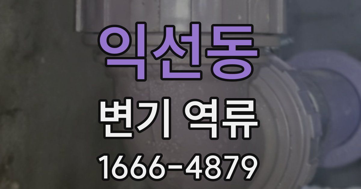 익선동 변기 역류