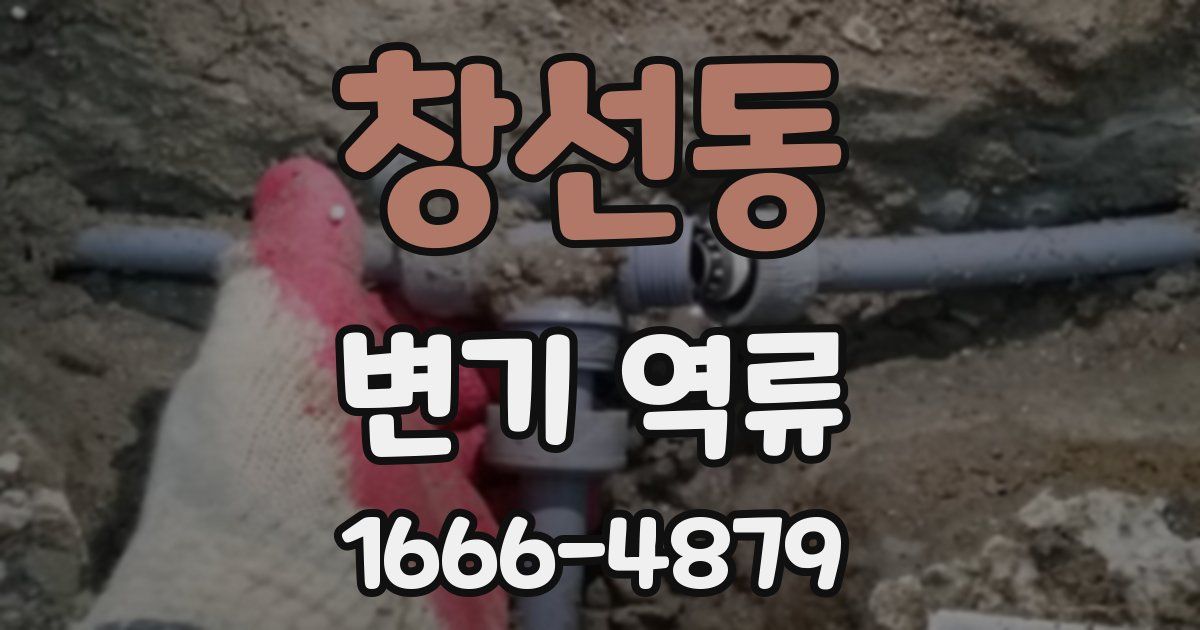 창선동 변기 역류