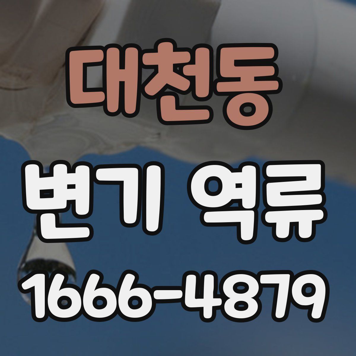 대천동 변기 역류