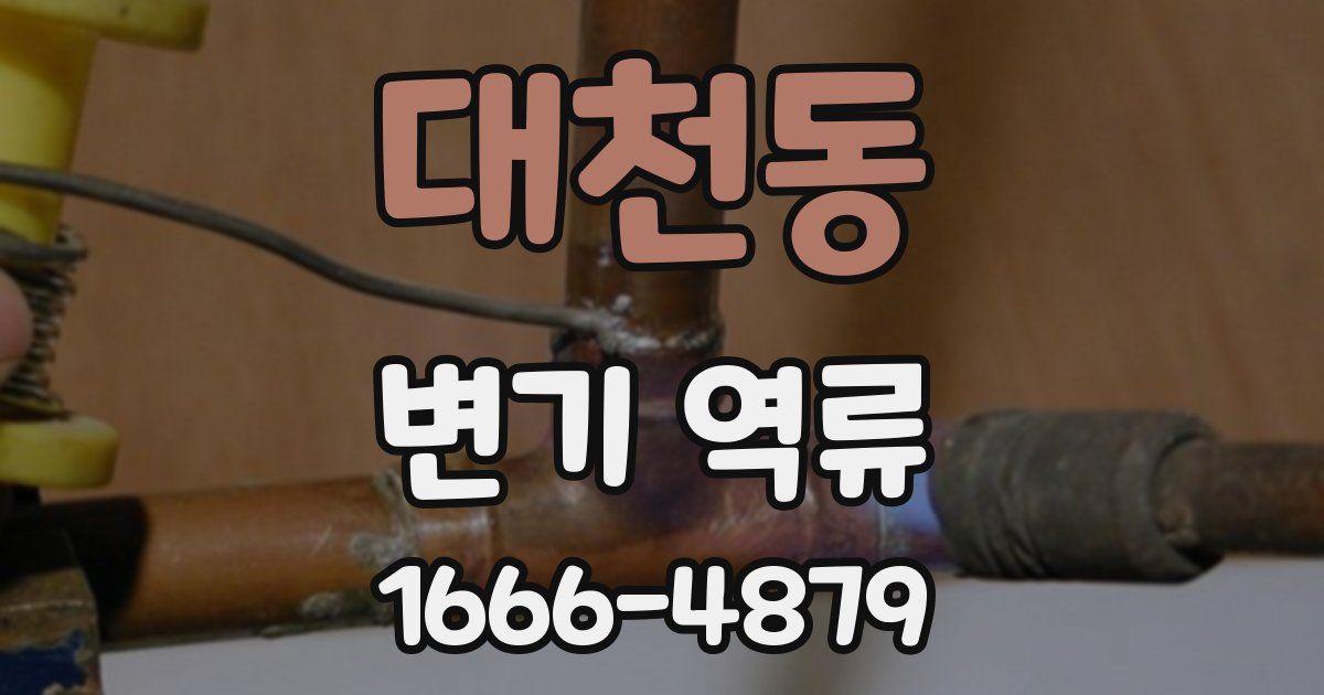 대천동 변기 역류