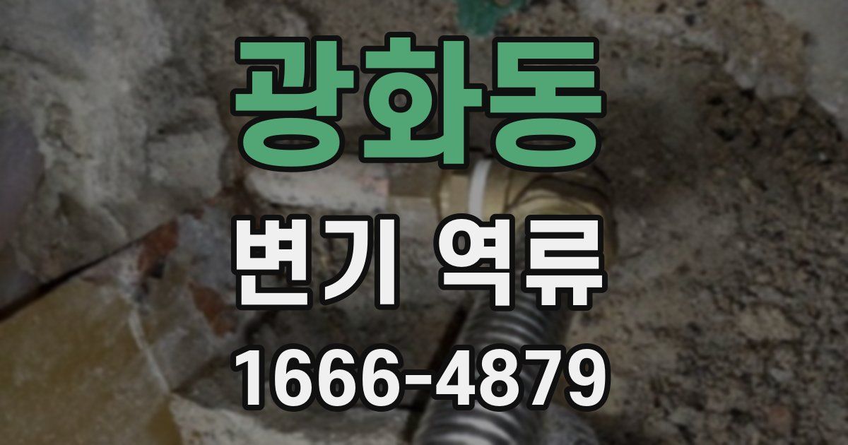 광화동 변기 역류