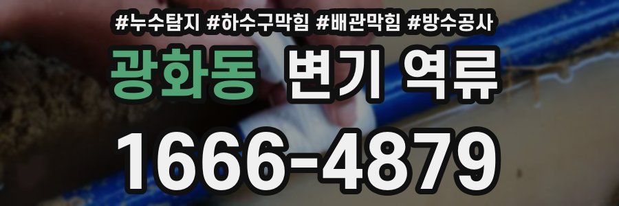 광화동 변기 역류
