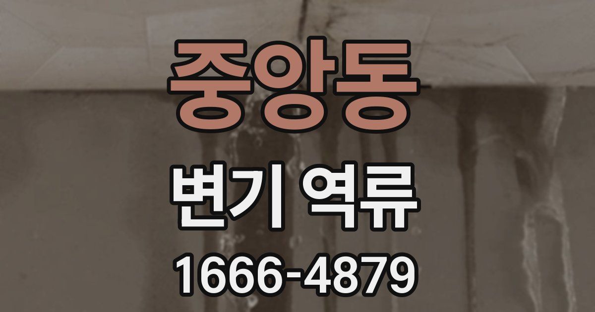 중앙동 변기 역류